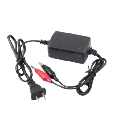 Carregador de bateria AGM 110-220v-12v 1300mA