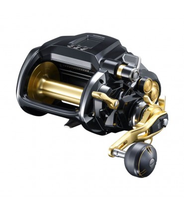 Carreto Shimano Beastmaster MD 12000