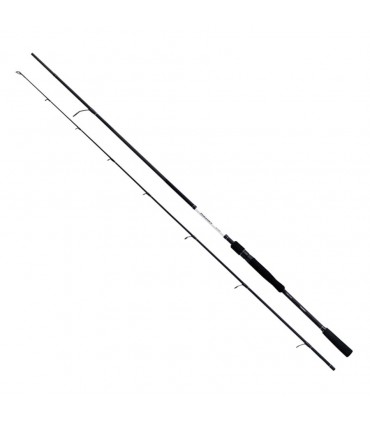 Canna Shimano Vengeance CX Spin per spigola 2,70 m 15-60 g 2 pezzi