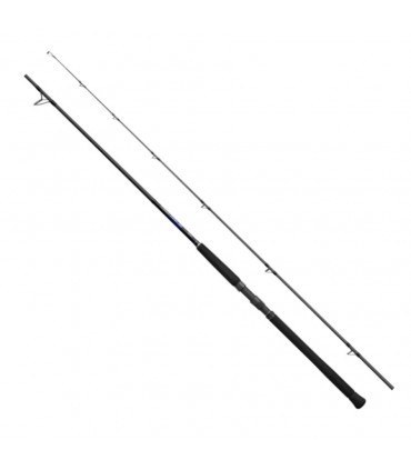 Shimano Cañano StrömungSnipper BB 2PC Jigging 45-60gr 2.90m