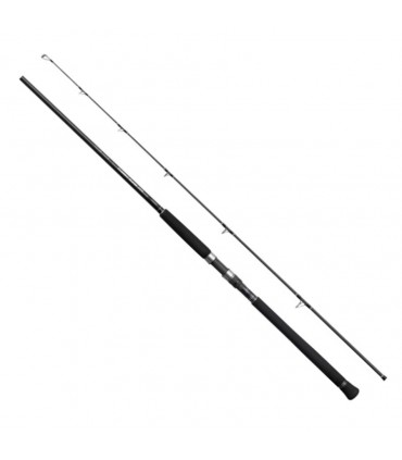 Caña Shimano CurrentSniper XR 2PC Jigging 70-90gr 2.90m