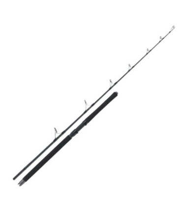Canne Ketzho Toray Stand TunaVFR 7020 100-200gr 2.1m