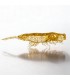 Shrimp Bait soft gluupi 61mm 2.5" 1.6gr Pack 6 unidades Colores varios
