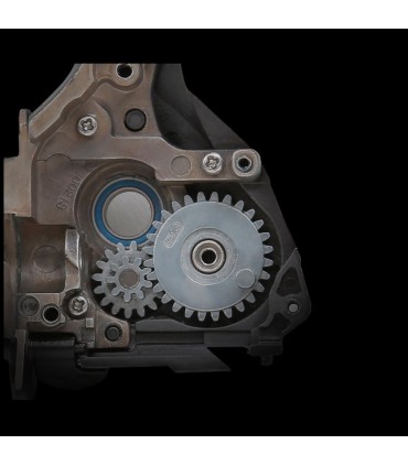 Spin Spin 07000 5.6: 1 Black Hole Ignition SW 7000 HG