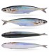 Bait réaliste vinyl maquerel 14.5cm/33.3g Pack 3 unités