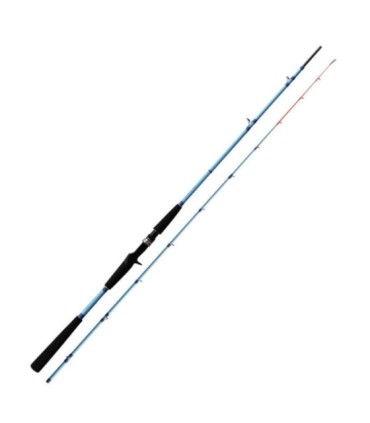 Black Hole Rod 20-030gr 2,00m Super Hybrid Casting