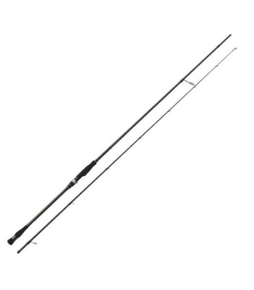 Black Hole Rod 10-36gr 2.90m Dark Horse II Inshore