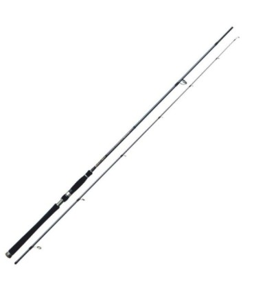 Black Hole 10-36gr 2.90m Cabin II Canne Spinning