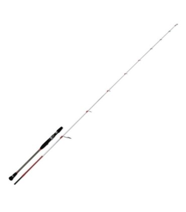 Haste Black Hole 80-200gr 1,73M Magic Eye Torque S