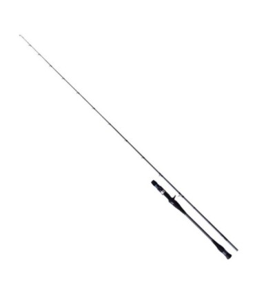 Caña Black Hole Light Jigging C Dark Horse II Light Game 40-150gr 2,03m