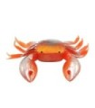 Crabe spécial pulpera 5x7cm