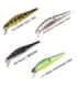 Black Hole Jerk Bait 70F Joint 70mm 5.8gr