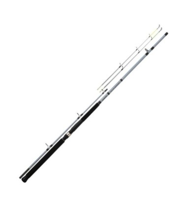 Canne Daiwa Sensor Buscle 210 Q