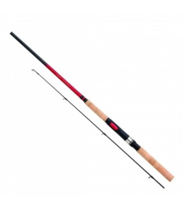 Canne Shimano Catana DX Spin 300H 2pcs 20-50gr