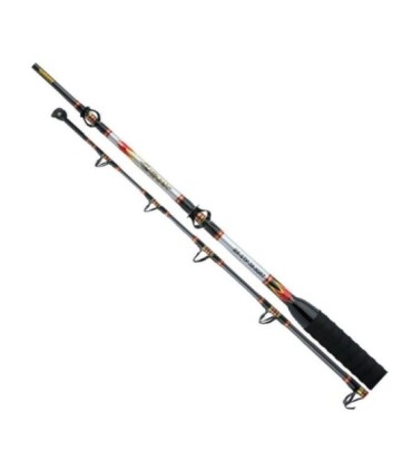 Shimano Catana BX Stand UP 30-50 lbs R Stock