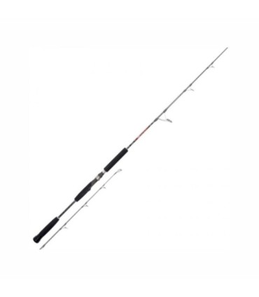 Canne Hart Toro Jig 53S 1,57m 60-150gr