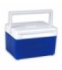 Ice box Polar Cooler Picnic BW 5L