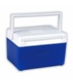 Nevera arcon Polar Cooler Picnic BW 5L