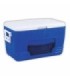 Chest fridge Polar Cooler Pacific BW 46L