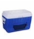 Chest fridge Polar Cooler Pacific Big BW 52L