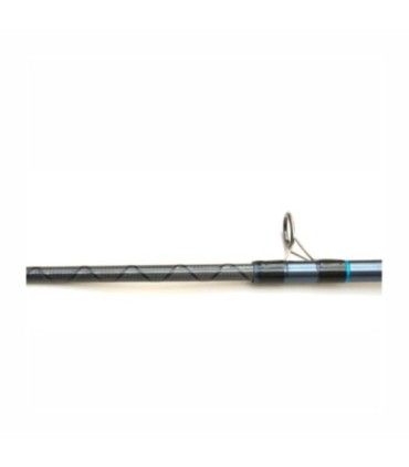 Canne Alcedo Pride Boat 2.50m 3 embouts 60-110-200gr