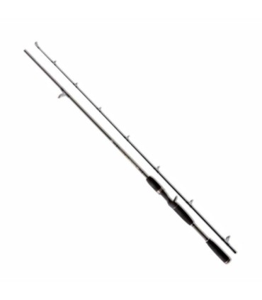 Canne Lineaeffe 40gr 2.00 Baitcasting Pro