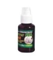Concentrated aroma 60cc Garlic
