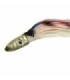 Bait Scuter Tiger 17cm 50gr montiert