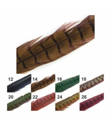 Plumas cola Faisan Macho 2 Unidades varios colores
