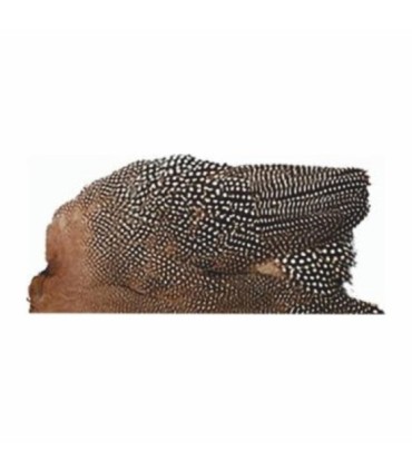 Plume de cou de coq de Guinée Skins couleur naturelle