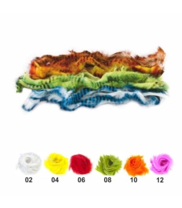 Strip hare tabby colors various colors