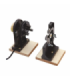 Motor ARD para mesa anelada 220V