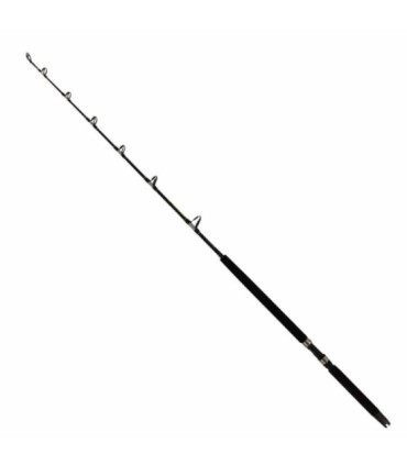 Vara de barco Dashiko EX5601-2030 1,68m 20-30Lb
