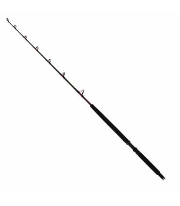 Canne debout Dashiko 5601-0816 1.68m 8-16Lb