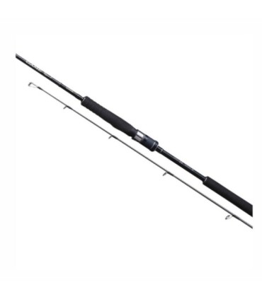 Shimano Cane 20 Spiel Slow Jig 1,98m 200gr 2pc