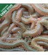 Dinheiro verde 30gr aproximadamente