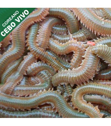 Green cash 30gr approximately