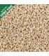 Asticot bianco 1 litro