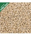 Asticot branco 1 litro