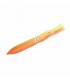 copy of Squid-calamar 23cm couleur naturelle