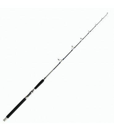 Caña Fisherpro Triflex Jigging 1.80m 150-250gr