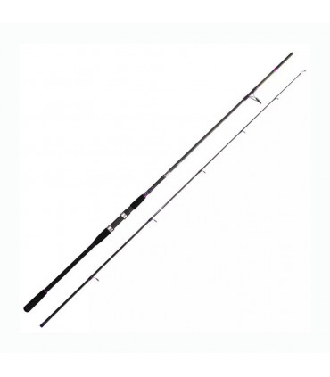Cinnetic Explorer Basso mare Evolution 300MH 20-80gr
