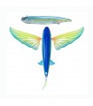Nomad Slipstream 140 Flying Fish 5 1/2" Várias cores