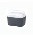 Frigorifero Arcon Polar Cooler Play 8L BS