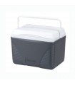 Nevera Arcon Polar Cooler Play  22L BS