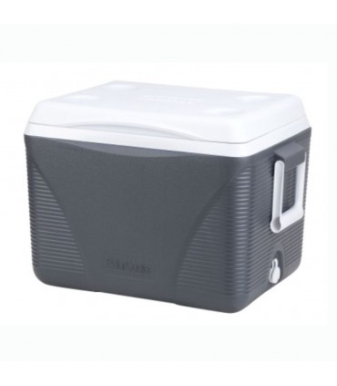 Nevera Arcon Polar Cooler Play  44L BS